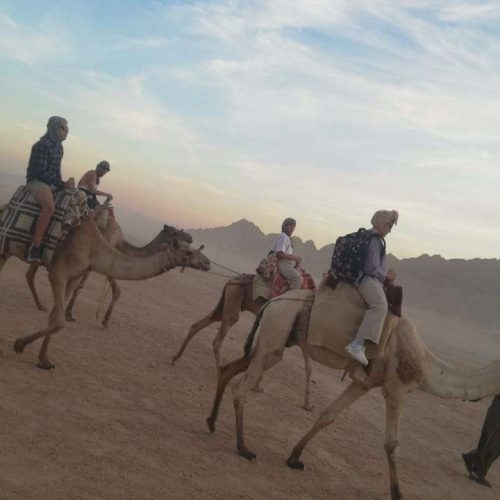 aeb3b266-0a5c-4b85-8c9d-be162612c55d